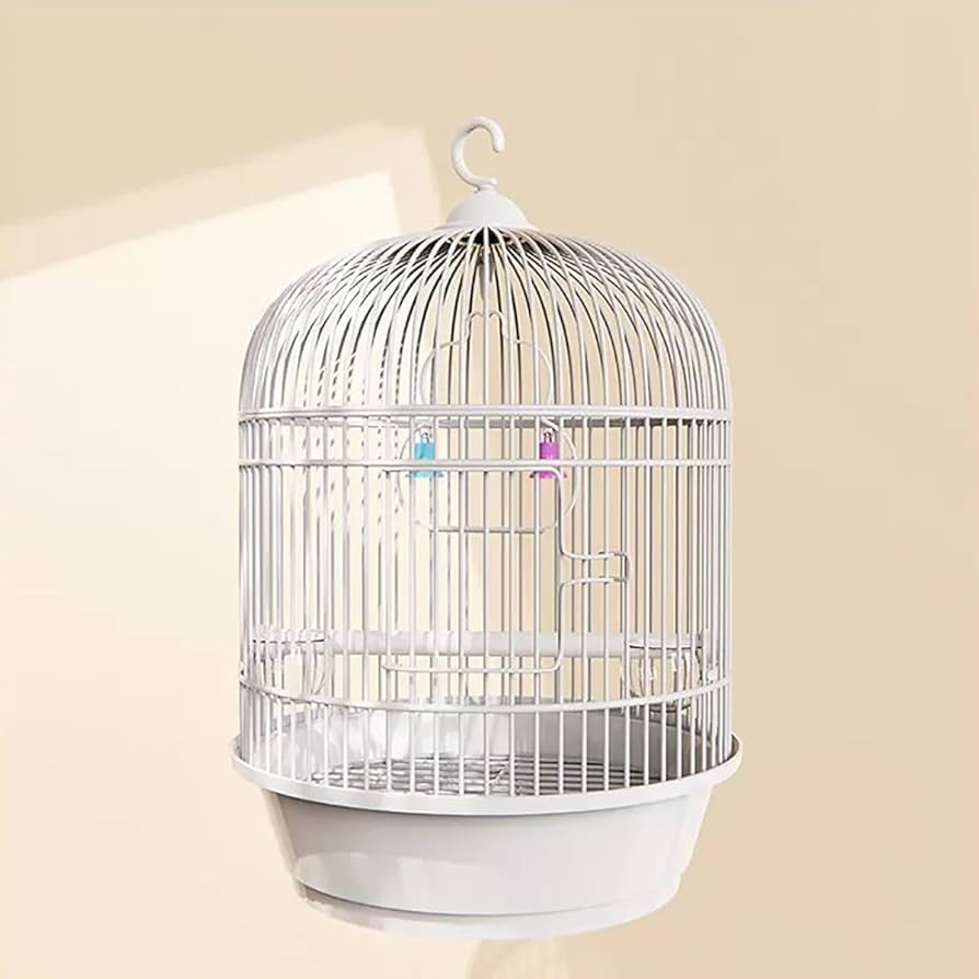 Amazon.co.jp: インテリア 鳥籠 持ち運び 鳥かご おしゃれ 鳥 ケージ