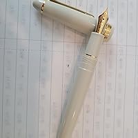 Amazon.co.jp: セーラー万年筆 万年筆 プロフィットスタンダード