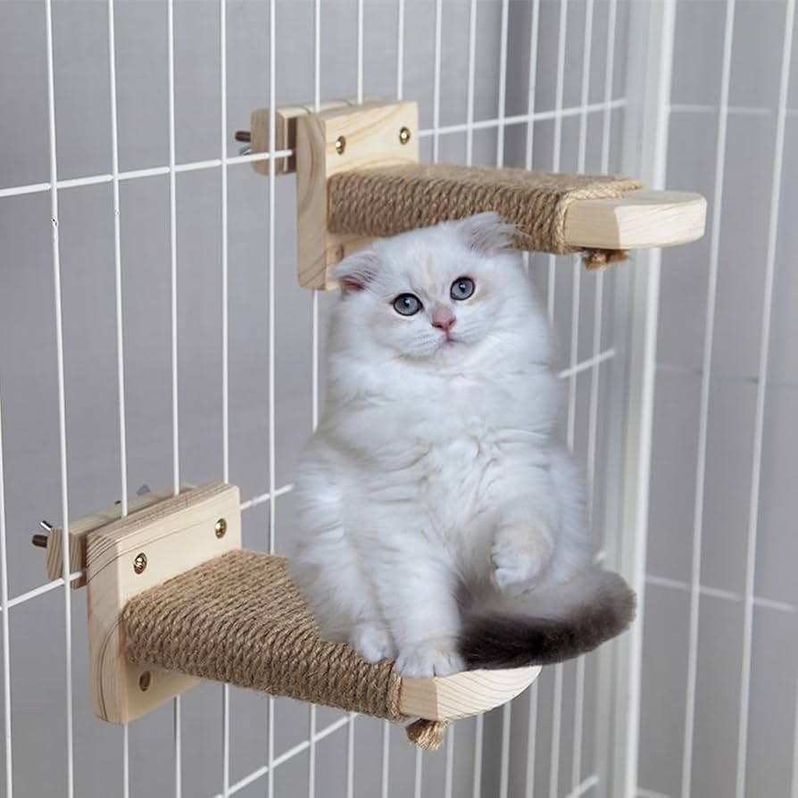 Amazon.co.jp: キャットステップ 猫 階段 ケージ用 壁掛け用 爪研ぎ