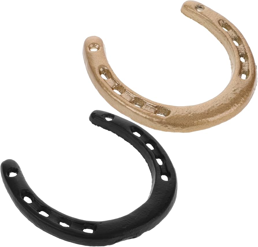 Amazon.co.jp: ULDIGI 鋳鉄製馬蹄形壁掛け飾り 大サイズ 金属製壁装飾