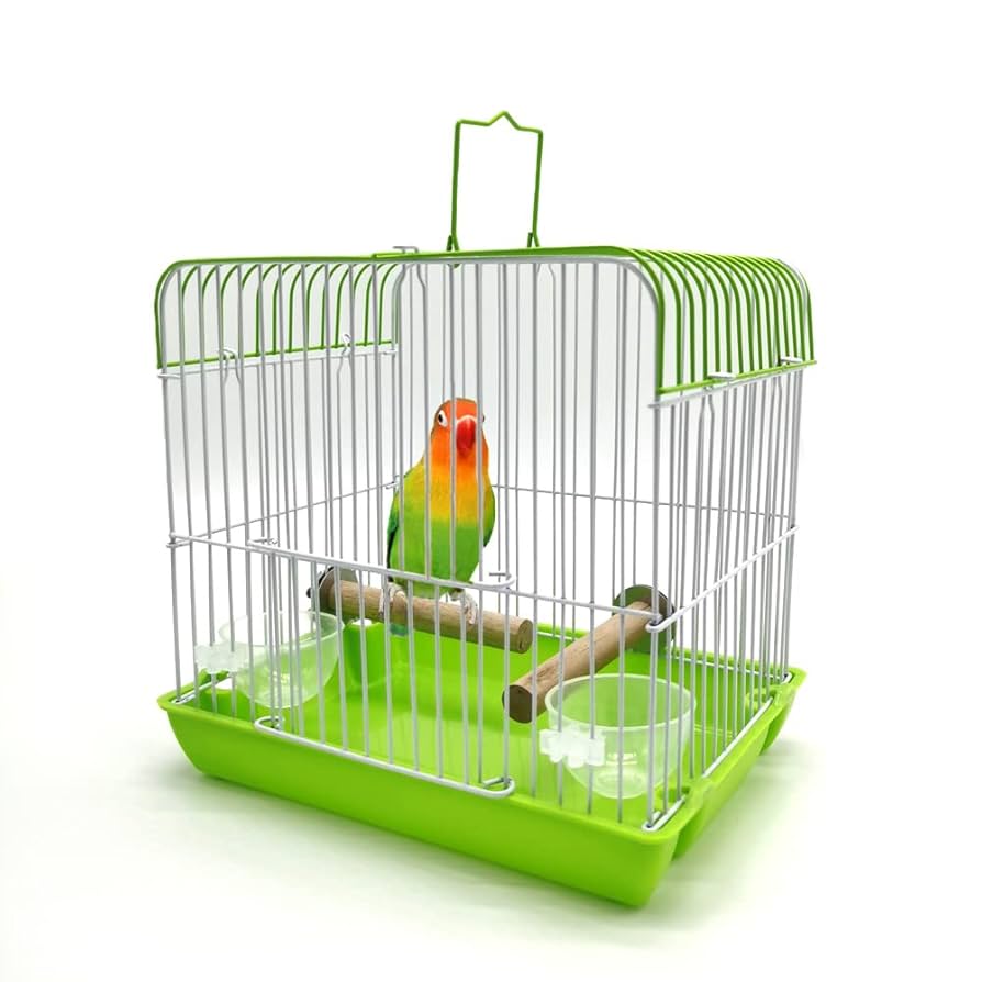 キャリーバッグ キャリーケージ お出かけ用 通院用 文鳥 インコ S