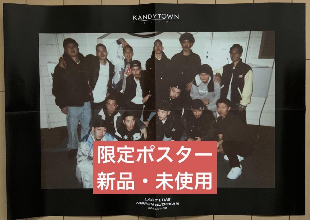 新品 IO Just Show 武道館 ポスター kandytown