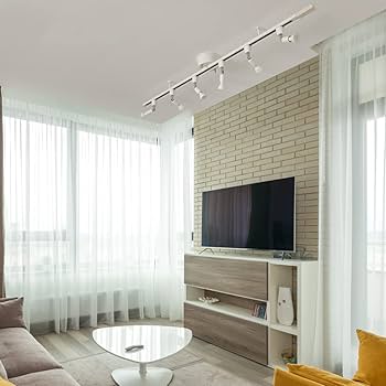 Amazon | 共同照明 10個セット 配線ダクトレール用 スポットライト