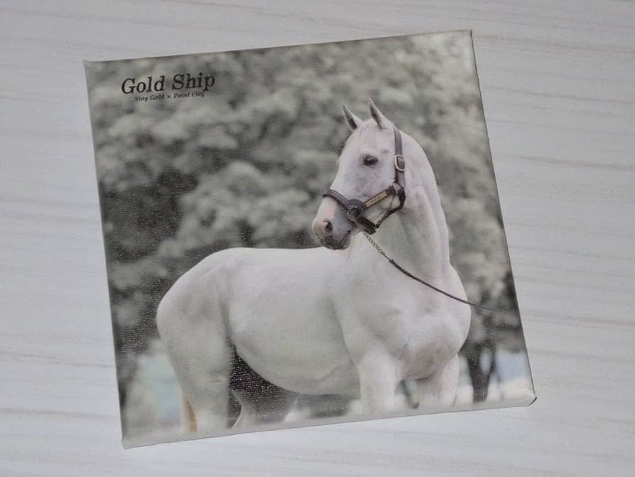 Amazon.co.jp: 匿名 GOLD SHIP ゴールドシップ キャンパスボード 18×18