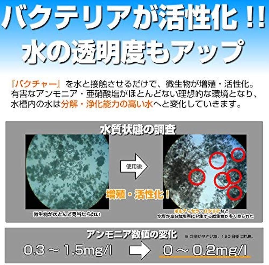 Amazon.co.jp: 【詰め替え用】「水質浄化活性石バクチャーストーン