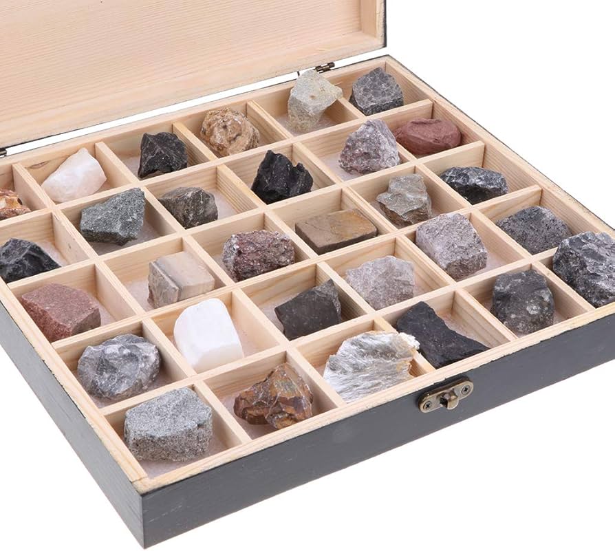 Amazon | 岩石 鉱石標本 図鑑 木箱付き 石コレクション 堆積岩サンプル