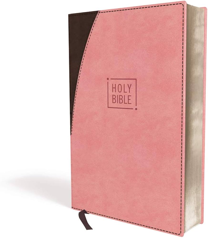 NIV, Premium Gift Bible, Leathersoft, Pink/Brown, Red Letter