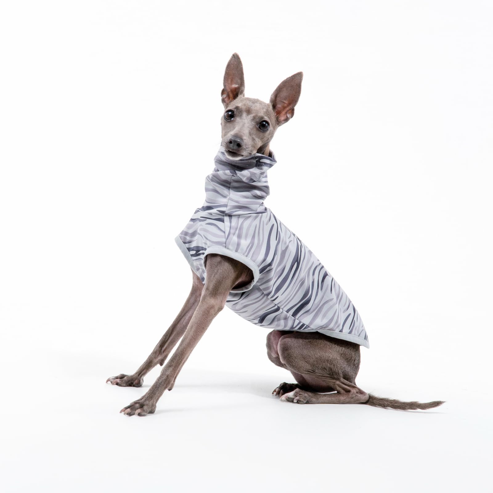 G-G ストライプ犬服 C'est si bon.