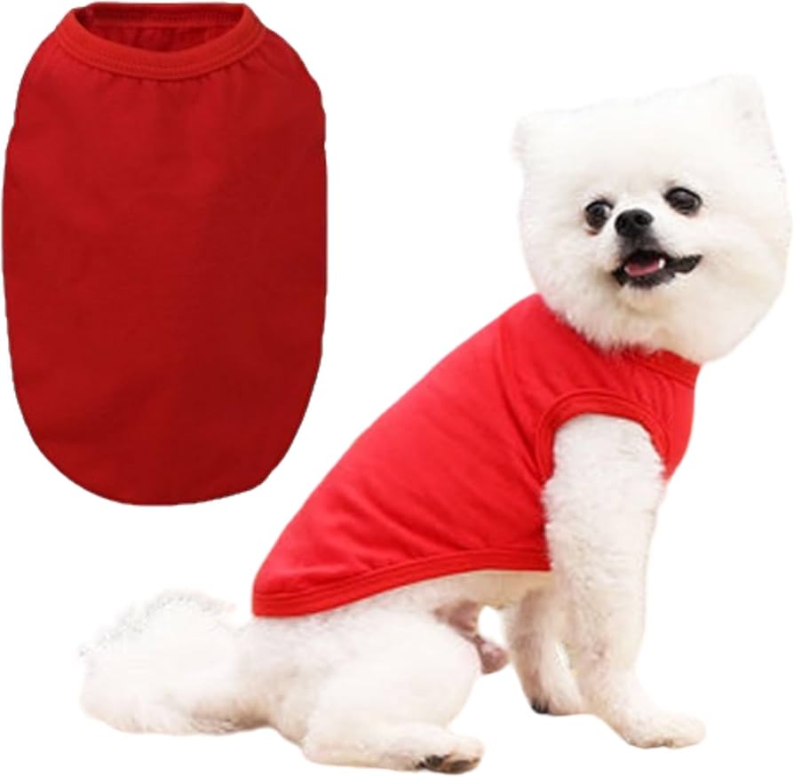 犬服 SS わんこの普段着オレンジに車