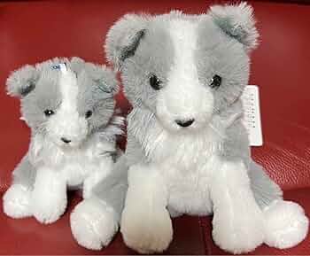 61kDqA41S4L._AC_UF350,