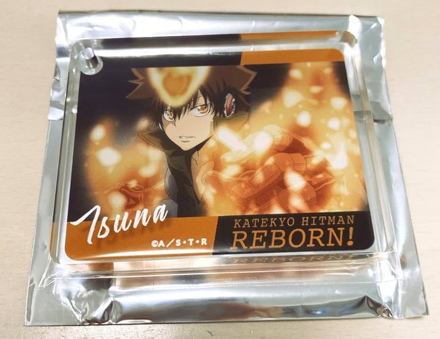 家庭教師ヒットマンREBORN アニメイトカフェ 沢田綱吉 コロッタ