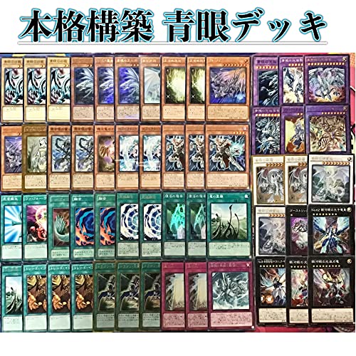✨セール✨遊戯王 本格構築青眼デッキ40枚＋E X15枚 ✨セール✨遊戯王