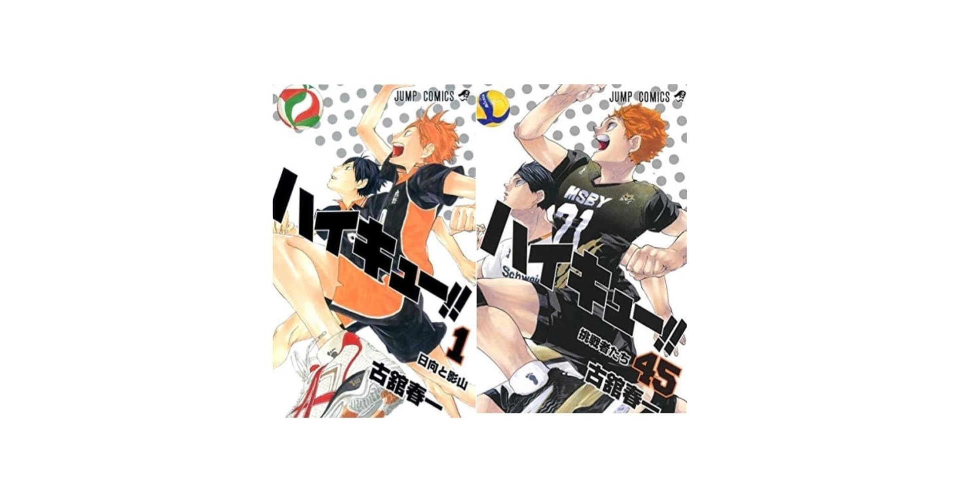 ハイキュー 1~45巻 透明ブックカバー 全巻セット 33.5巻おまけ付き