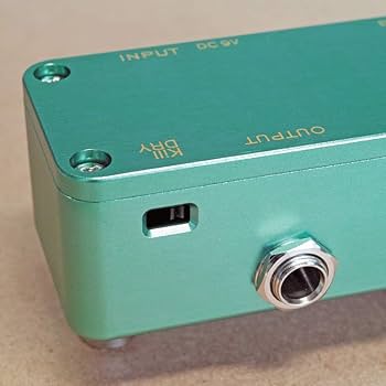 Amazon.com: One Control Sea Turquoise Delay Effects Pedal
