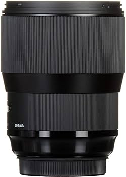 Amazon.com : Sigma 135mm F1.8 Art DG HSM for Sony E : Electronics