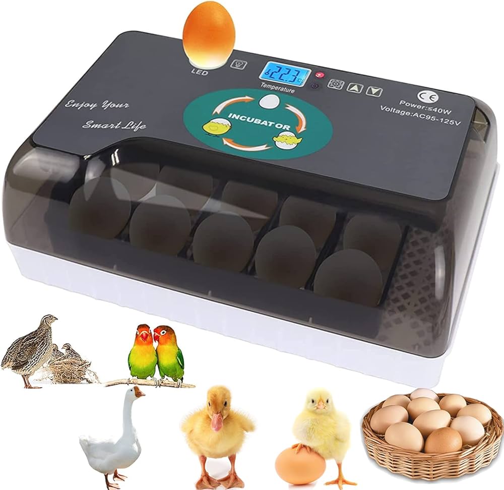 Amazon | T､T−SUN インキュベーター 自動孵卵器 孵化器 自動転卵 12個
