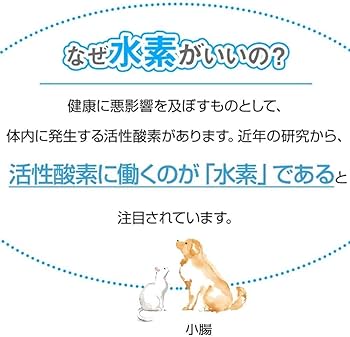 Amazon | 【犬用総合サプリ】レナトスST 犬用【皮膚・被毛、関節、血管