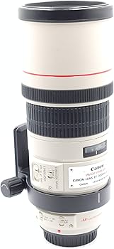 Amazon.com : Canon EF 300mm f/4L IS USM Telephoto Fixed Lens for