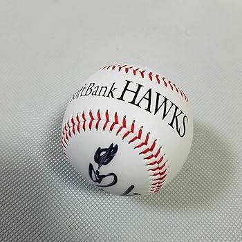 巨人 読売ジャイアンツ 甲斐拓也 直筆 サイン ボール ファンフェスタ