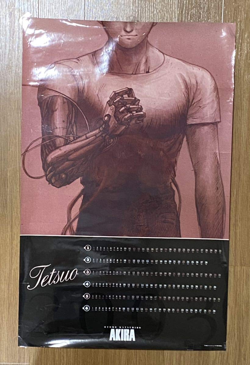 AKIRA 両面プリントポスターカレンダー(2003年) AKIRA 両面プリント