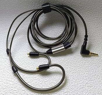 ゼンハイザーIE900 (ケーブル無し)(変換コネクタ付き) Amazon.co.jp