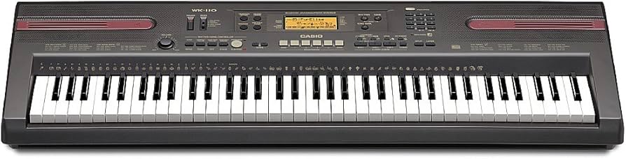 Amazon.co.jp: CASIO 電子キーボード WK-110 : パソコン・周辺機器