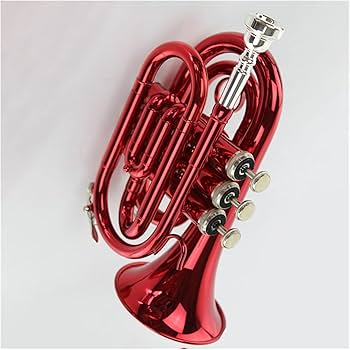 Amazon.co.jp: 初心者 金管楽器 B ミニトランペット 赤 手のひら