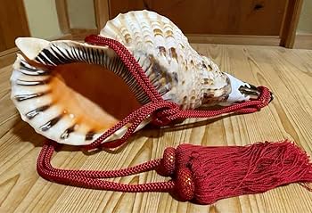 大型38.5㎝修験道法螺貝 山伏 密教 魔除け 熊よけ❣️ほら貝 ホラガイ