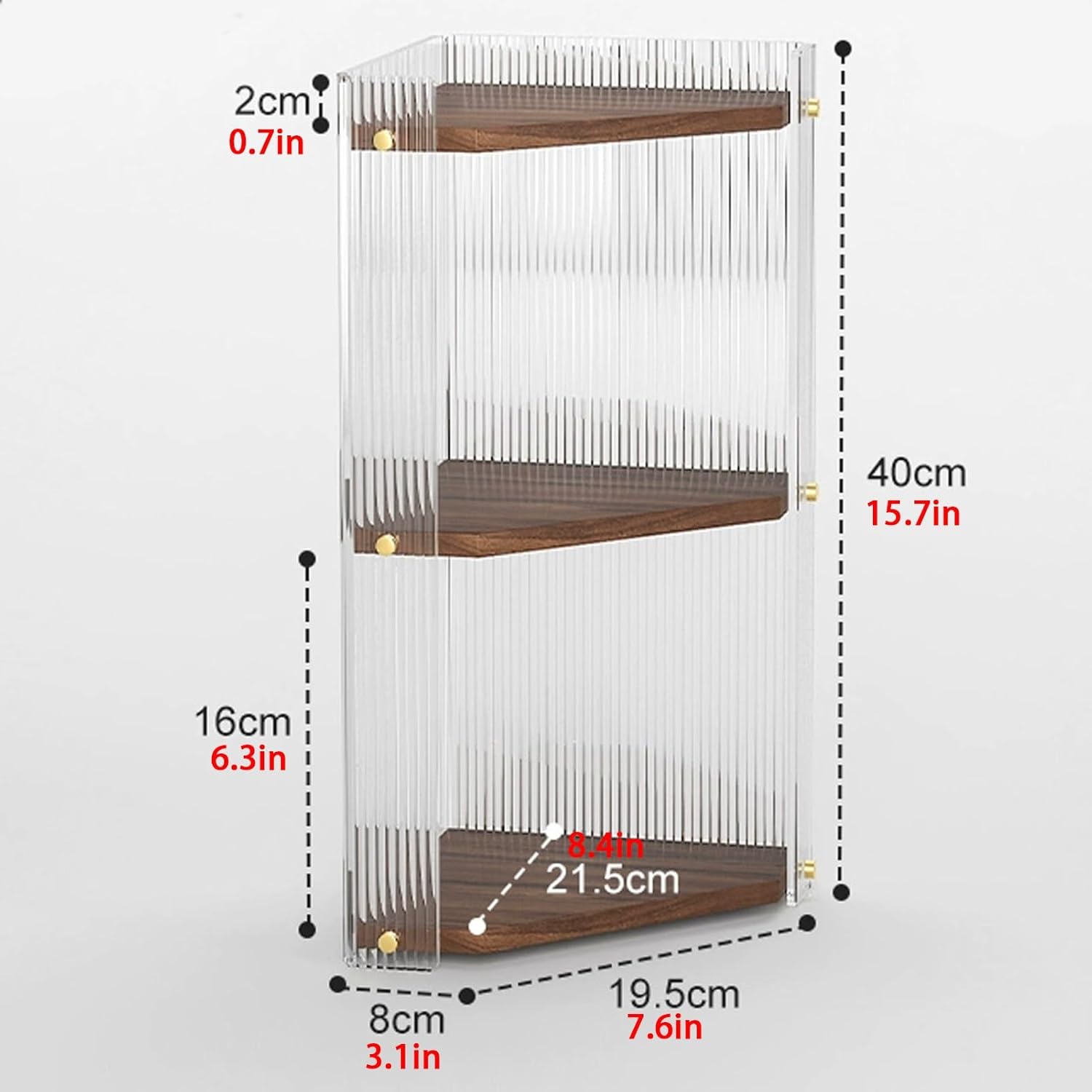 アマゾン原生熱帯雨林の昆虫標本アート ｜一点物・ハンドメイド