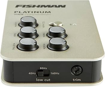 Amazon.com: Fishman Platinum Stage EQ DI Analog Preamp : Musical