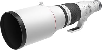 Amazon.com : Canon RF600mm F4 L is USM : Electronics