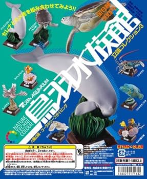 Amazon.co.jp: 【水族館限定】ネイチャーテクニカラー 鳥羽水族館 立体