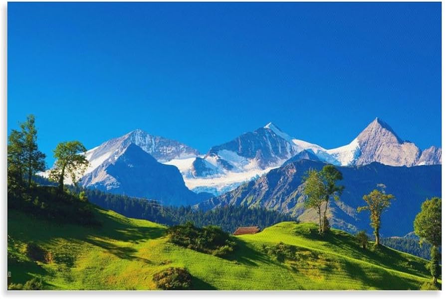 Amazon.co.jp: 自然風景素晴らしい絵画アートポスター(スイス