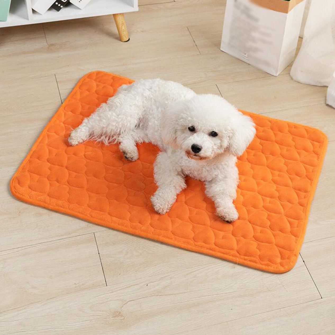 抗菌防臭ふんわりアニマルベッド L 犬用 抗菌防臭ふんわりアニマル