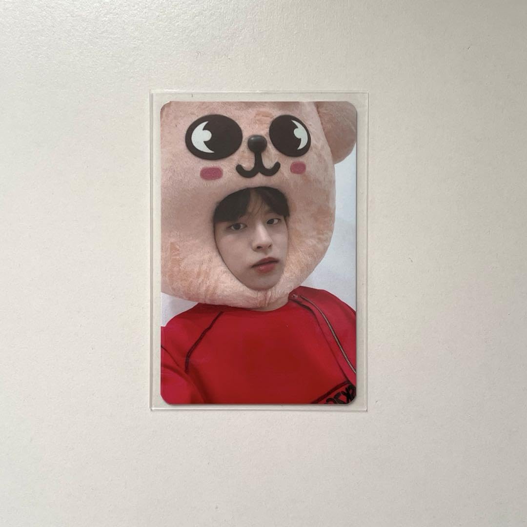 stray kids スンミン skzoo パピーム セット straykids skzoo スンミン