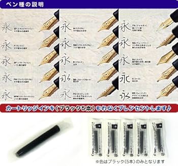 Amazon | パイロット 万年筆 キャップレス ペン種：18K ノック式／軸色