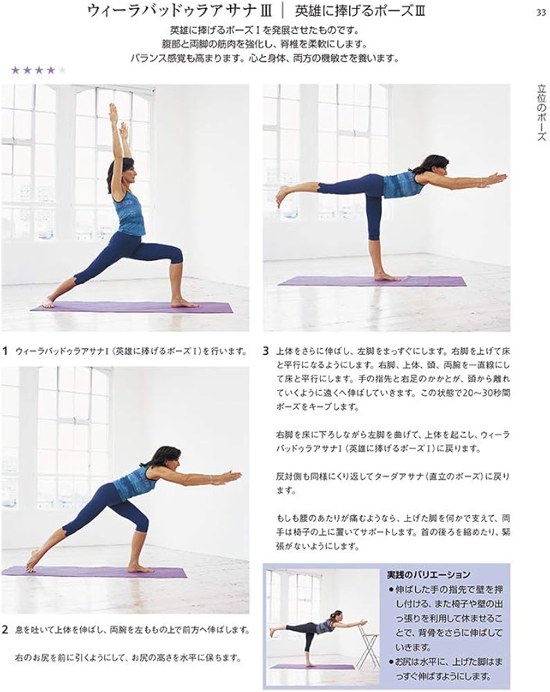 値下げ』アイアンガーヨガ完全マニュアル アイアンガーヨガ 完全