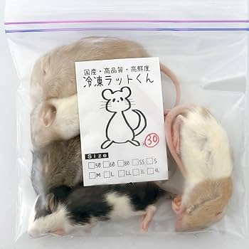 Amazon | 国産冷凍ラット (ファジー M 30 g 5匹) | 冷凍ラットくん