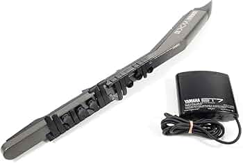 61s7+c8-UJL._AC_UF350,