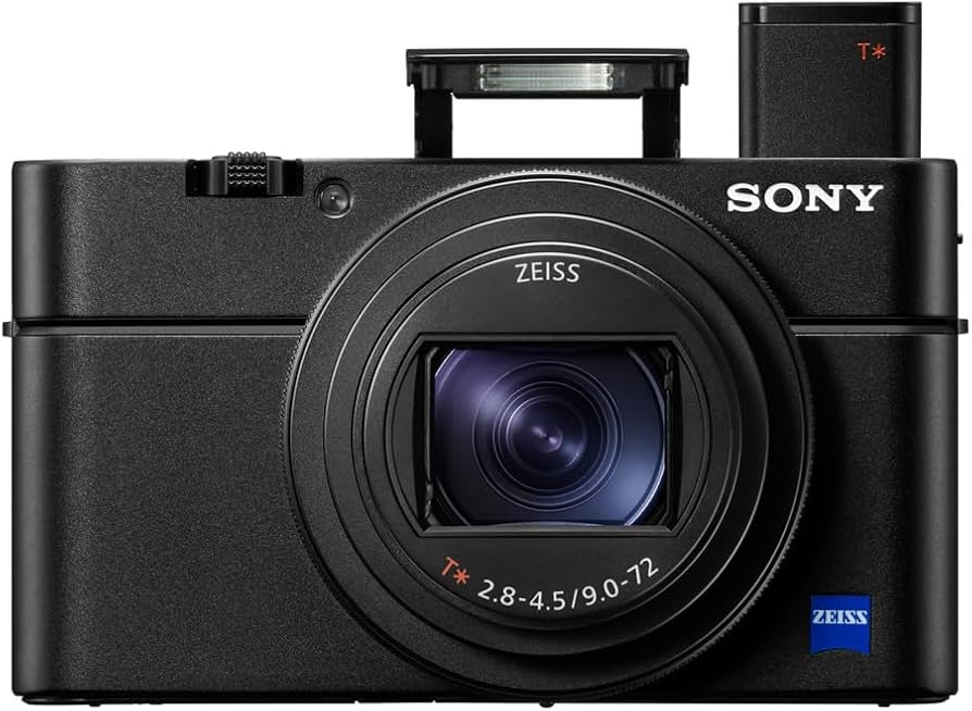 SONY ソニー Cyber-shot RX100VII DSC-RX100M7 61sDlyi3d4L._AC_UF894,