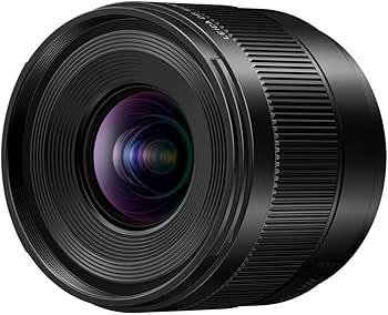 Amazon.com : Panasonic LUMIX Micro Four Thirds Camera Lens, Leica