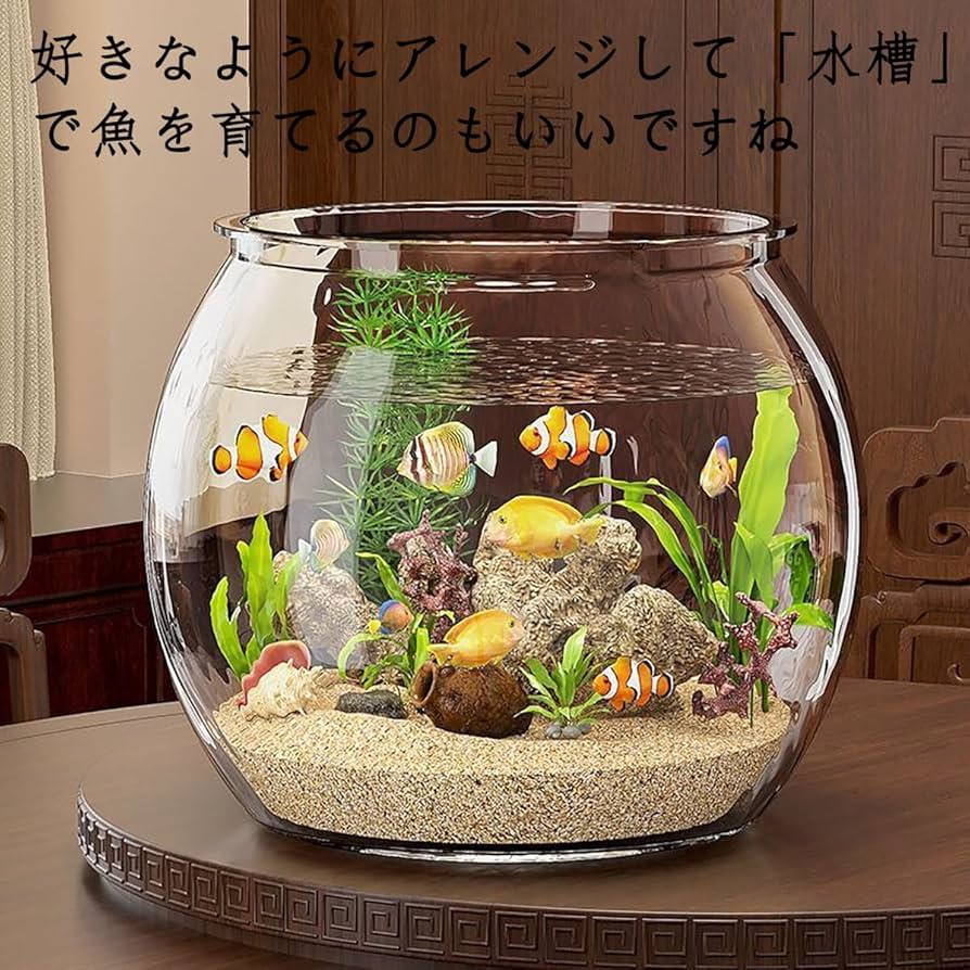 Amazon | hybmszj 水槽 丸 魚 花瓶 丸型 観葉植物 金魚鉢 水栽培