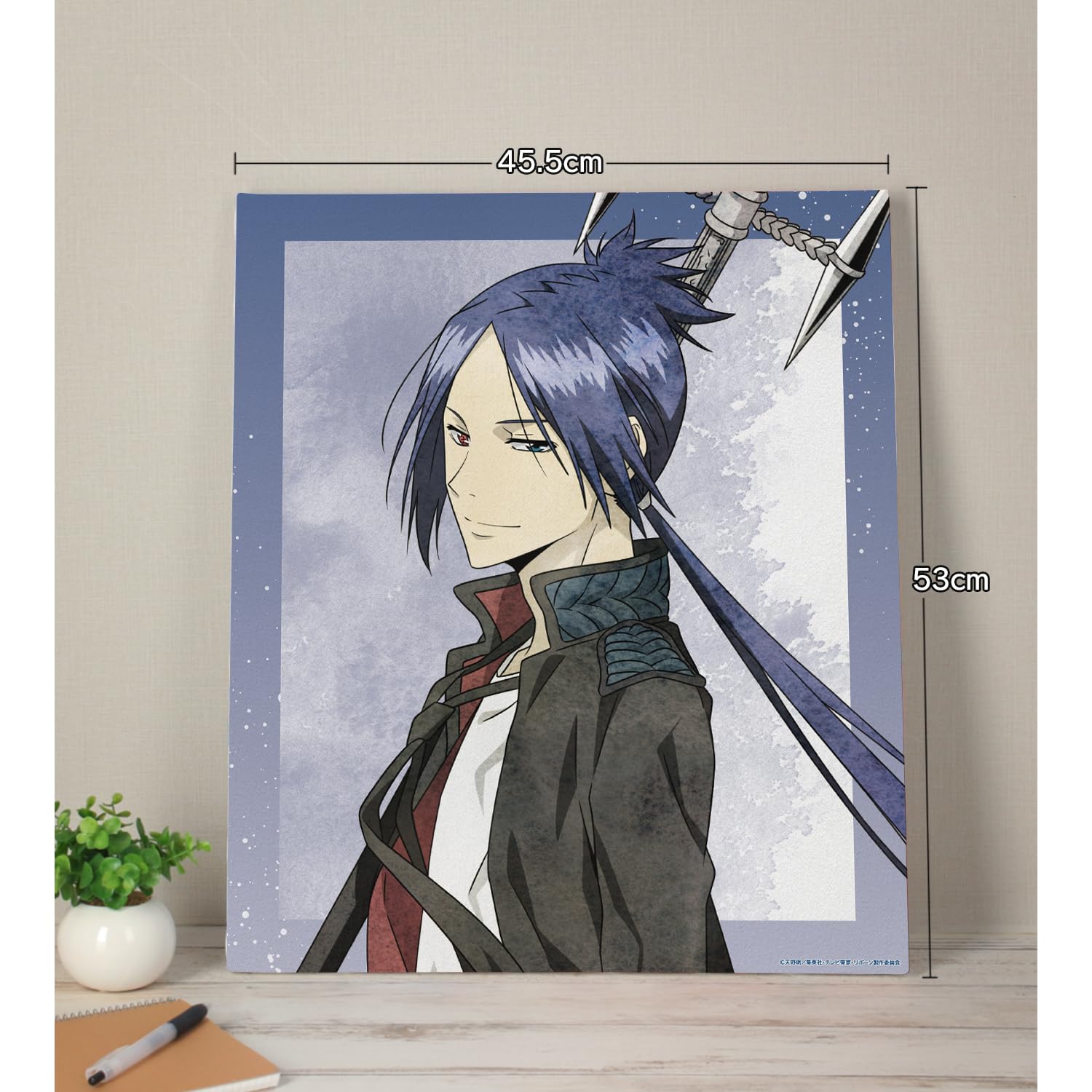 家庭教師ヒットマンREBORN 六道骸 10年後 ジャンボクッション 家庭教師