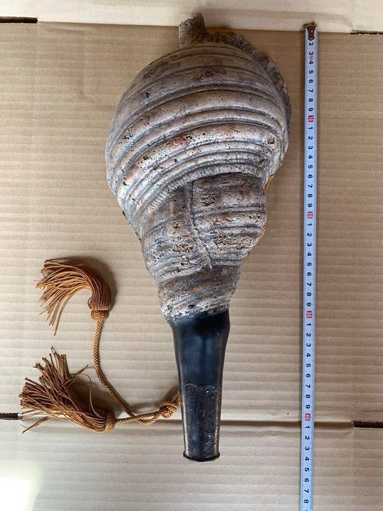 大型39㎝修験道法螺貝山伏密教魔除け熊よけ❣️ホラガイほら貝