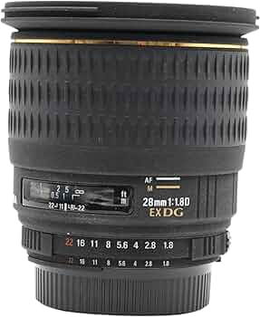 715V5X8iS+L._AC_UF350,