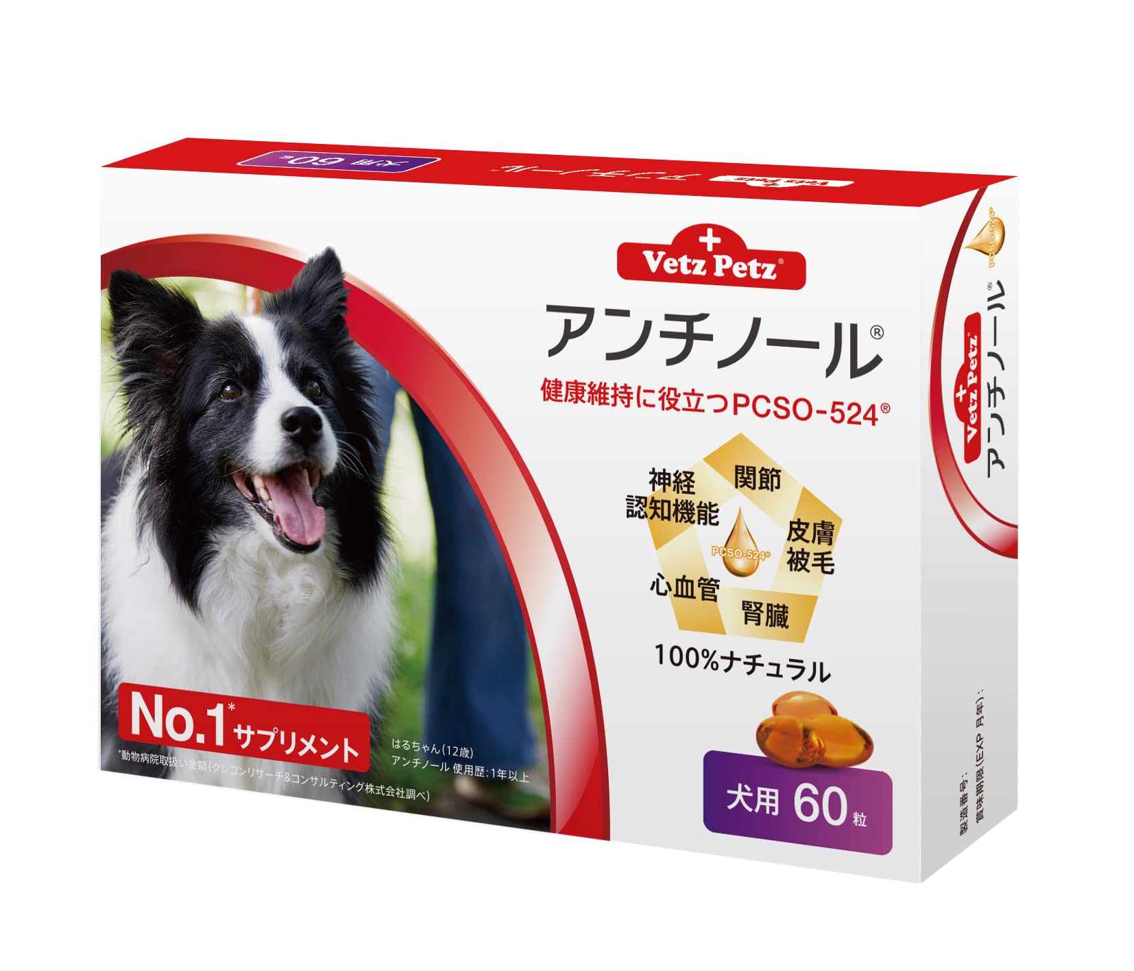 Vetz Petz アンチノール 90粒×6箱 Vetz Petz アンチノールプラス 90粒