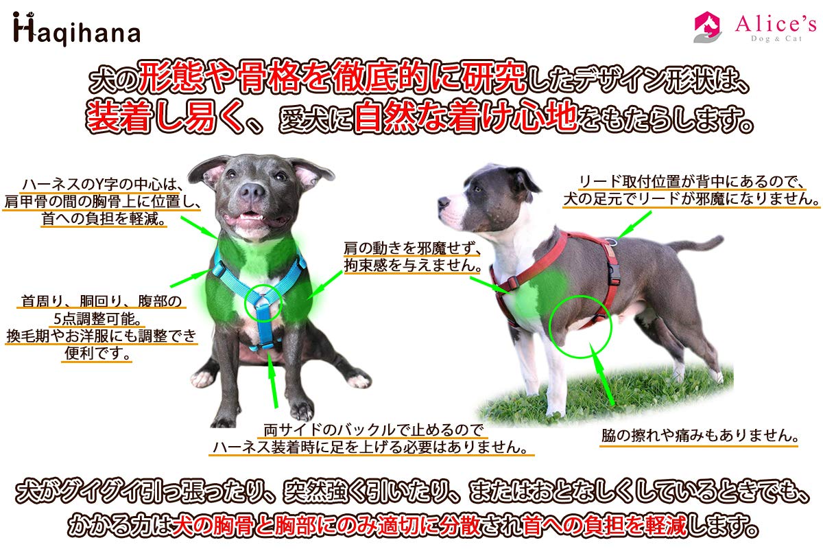 Haqihana ハーネス チョコレートSLサイズ ハキハナ社製ハーネス【H