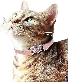 ミニチュアローズ柄(ブラック)わんちゃん猫ちゃん用襟付首輪 黒ドット