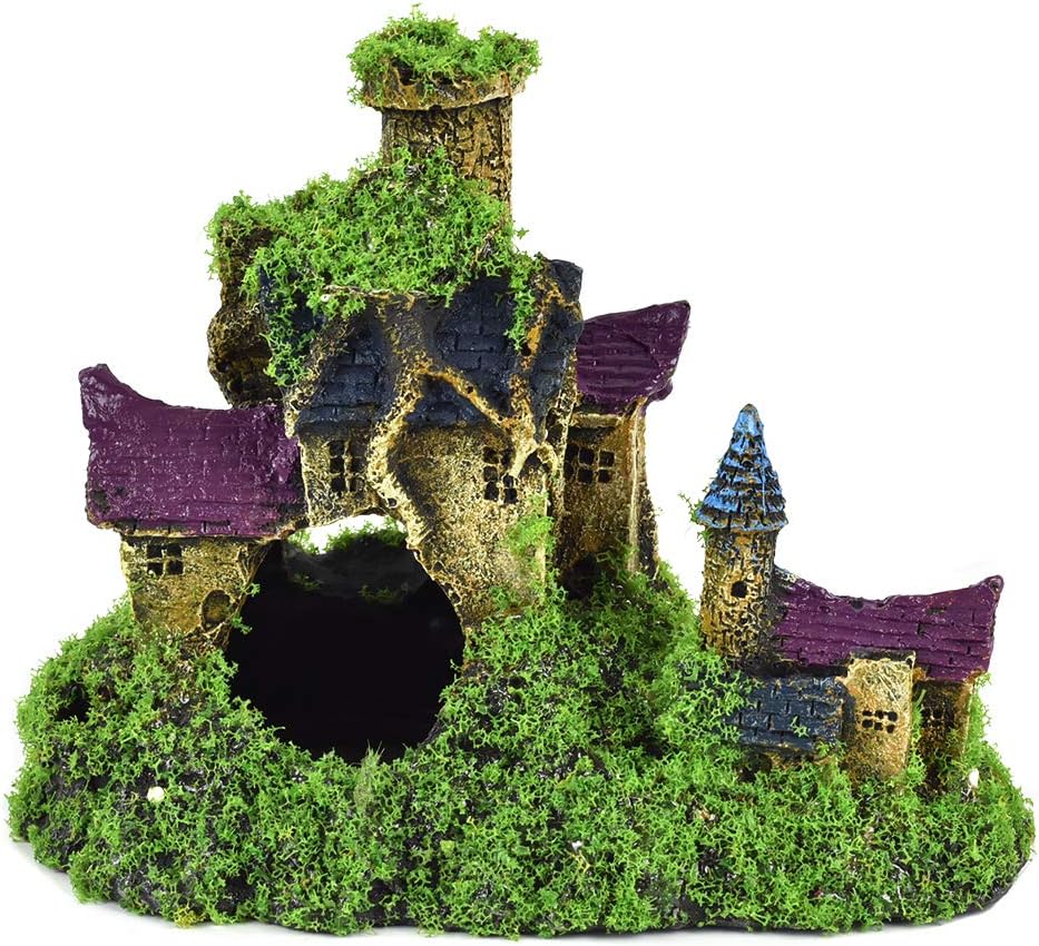 マツモ ( 金魚藻 ) 』 1000g 1000MTM002 Amazon.co.jp: マツモ 1束(約2