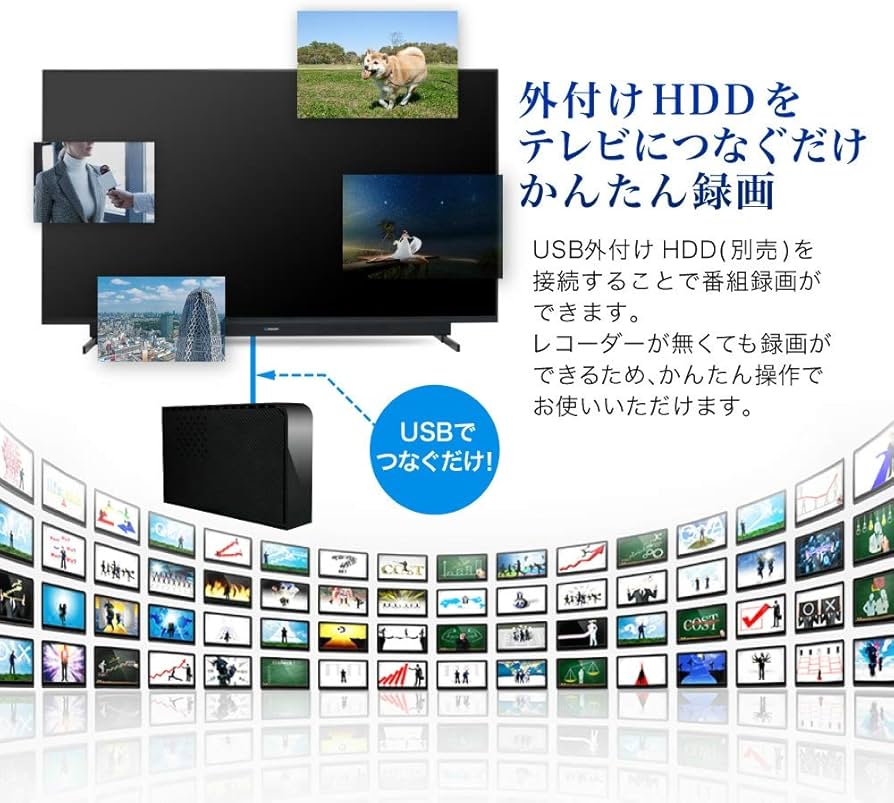 即日受渡❣️全国送料込SHARP40型テレビ外付HDD、かんたん操作音声